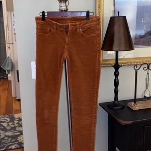 Patagonia corduroy pants